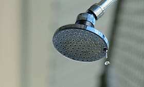 shower repair